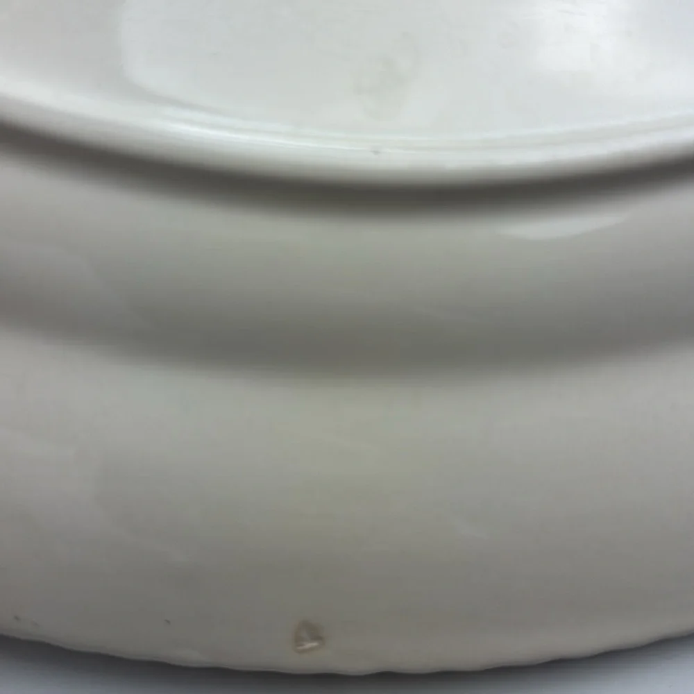 Vintage 50s Johnson Brothers Garden Bouquet Windsorware 14” Serving Platter